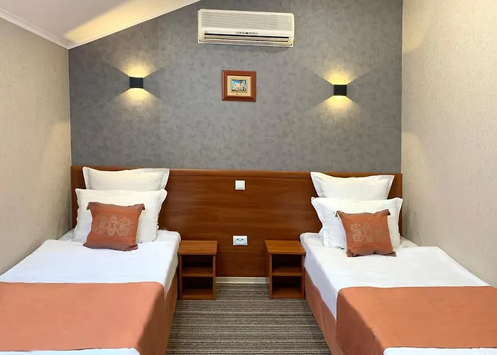 Hotel Economy In Eney *